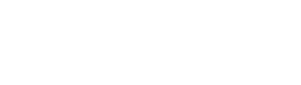 Savnet Logo